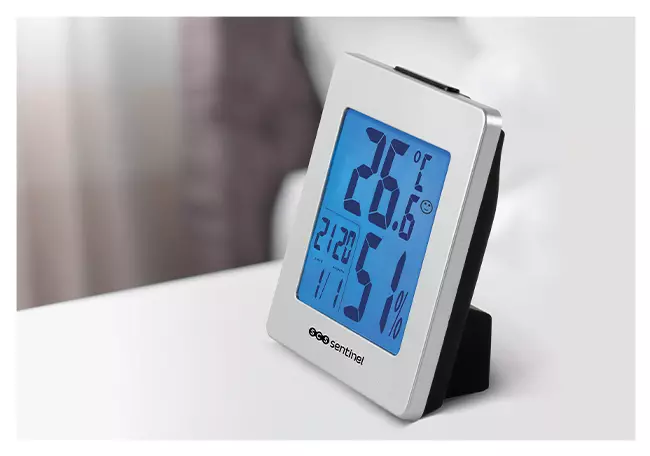 9€60 sur Thermomètre digital (température et humidité) pour